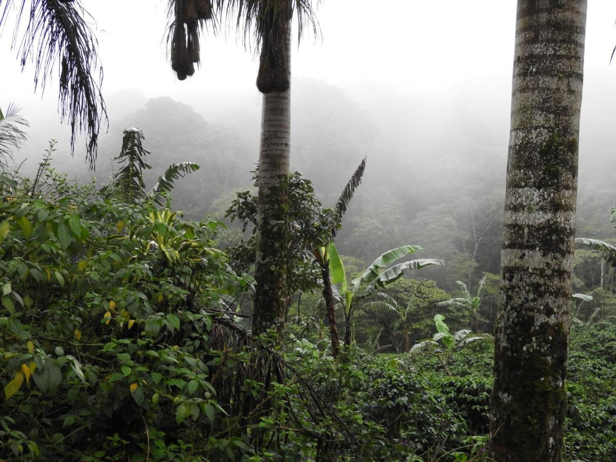 Ecolodge Luna Del Rio El Castillo de La Concepción エクステリア 写真